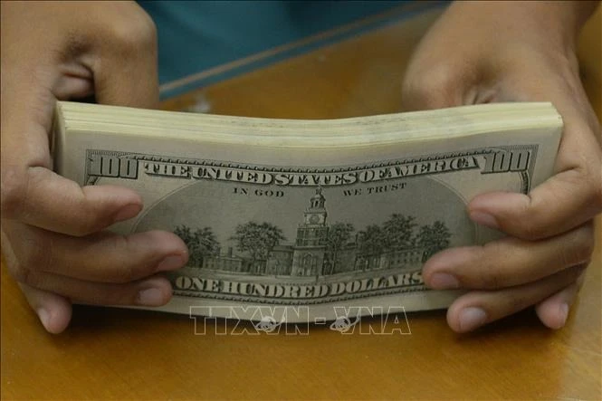 Đồng tiền mệnh giá 100 USD. (Ảnh: AFP/TTXVN)
