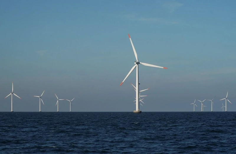 Các turbine gió ngoài khơi bờ biển Nysted, Đan Mạch. (Ảnh: Reuters)