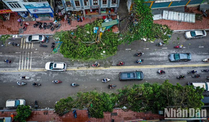 Bão Yagi gây thiệt hại lớn cho người dân. Ảnh: THÀNH ĐẠT