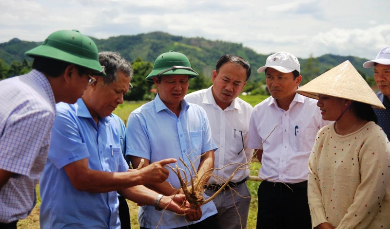 Đồng chí Bí thư Tỉnh ủy Lê Trường Lưu (thứ ba từ trái sang) kiểm tra các mô hình đầu tư giảm nghèo tại huyện miền núi A Lưới.