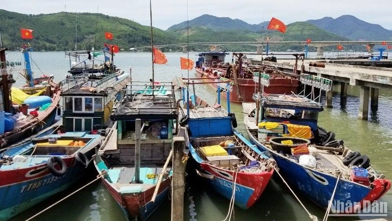 Thừa Thiên Huế cấm tàu thuyền ra khơi từ 7 giờ sáng ngày 25/9.