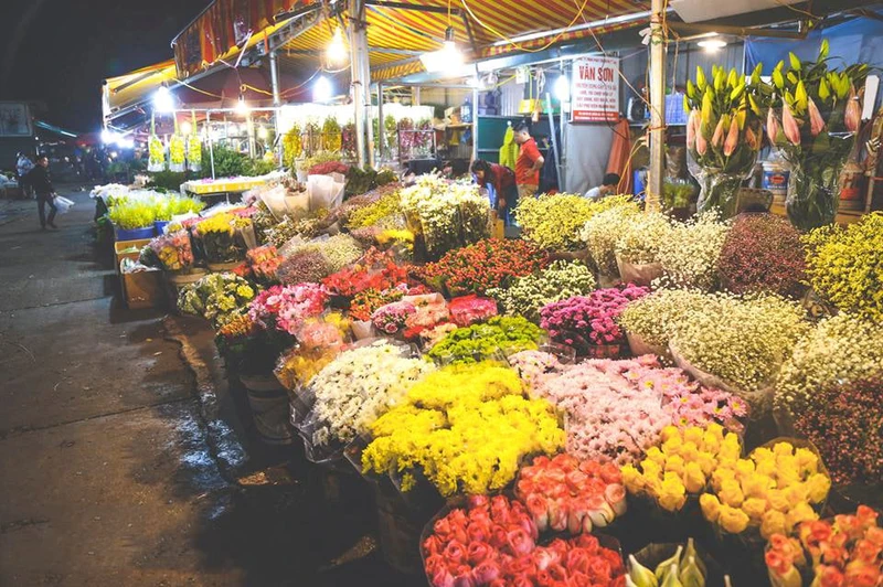 Các loài hoa khoe sắc trong đêm là nét đẹp của chợ hoa Quảng An.