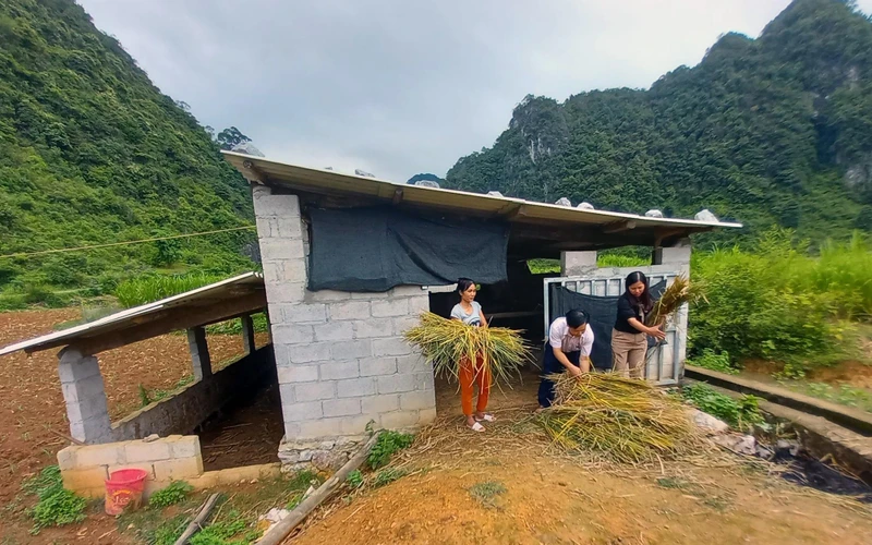 Hộ cận nghèo ở xã Quang Long (huyện Hạ Lang) xây dựng chuồng trại, phát triển chăn nuôi từ nguồn vốn chính sách. 