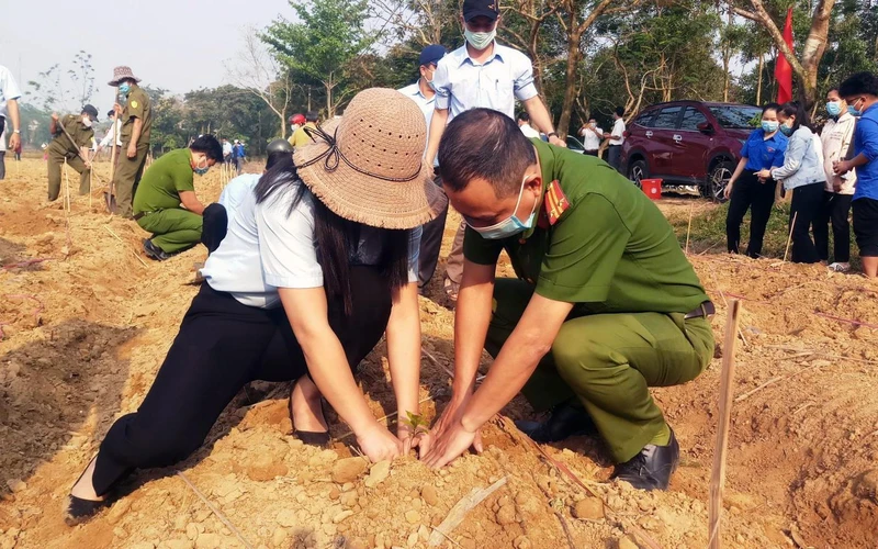 Lực lượng công an cùng người dân xã Phong Hòa (huyện Phong Ðiền) trồng mai vàng tại làng cổ Phước Tích. 