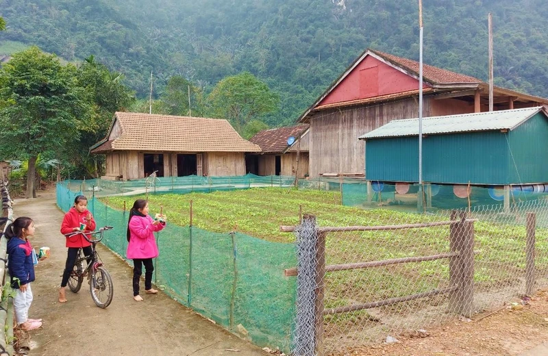 Ở xã Tân Hóa, huyện Minh Hóa, tỉnh Quảng Bình, bên cạnh nhà ở, mỗi gia đình đều có nhà phao để "sống chung" với lũ lụt. 