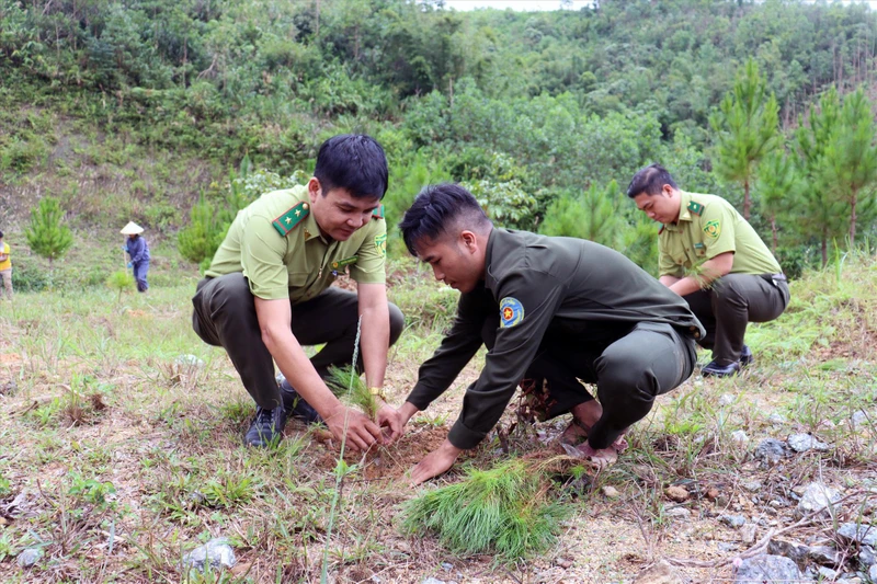 Trồng cây xanh tại khu vực Đài chiến thắng Tây Giang