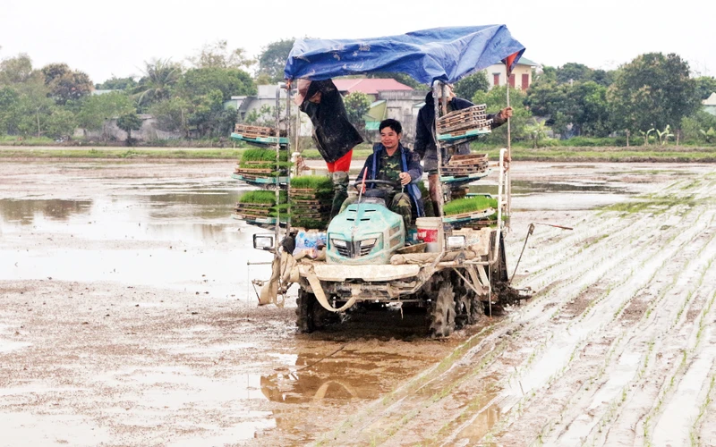 Máy cấy của Hợp tác xã dịch vụ nông nghiệp Tân Phong, thị trấn Tân Thanh, huyện Thanh Liêm. 