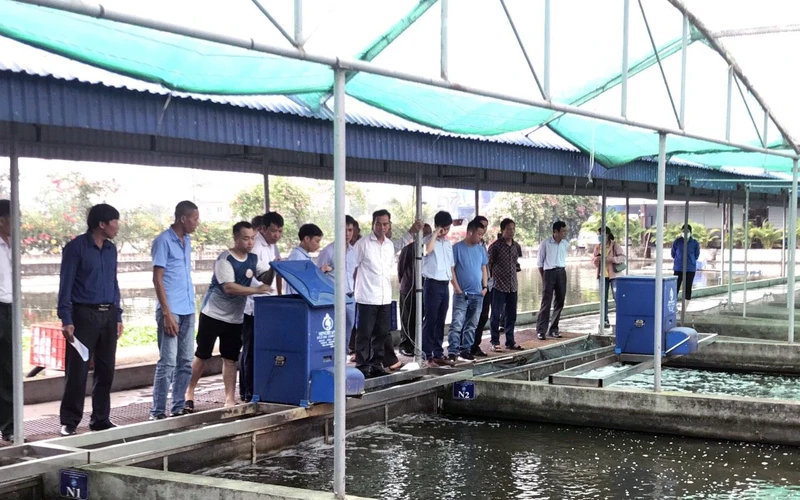 Hợp tác xã Sản xuất và Thương mại thủy sản Xuyên Việt (Hải Dương) đem lại nhiều lợi ích, thu hút được nhiều xã viên tham gia. (Ảnh LÊ VIỆT) 