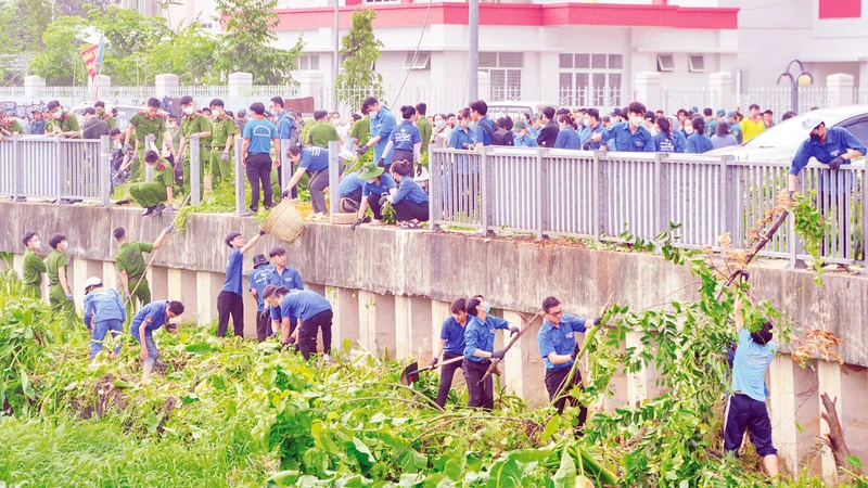 Thanh niên thành phố vớt rác dưới rạch Xuyên Tâm (quận Bình Thạnh) trong ngày chủ nhật xanh. (Ảnh CTV) 