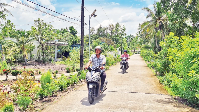 Tuyến đê bao Long Mỹ - Vị Thanh dài hơn 70km. 