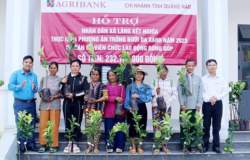 Agribank Chi nhánh Quảng Nam trao cây giống cho các hộ dân xã Lăng.