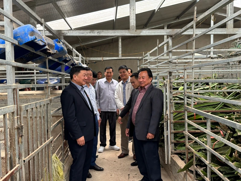 Đồng chí Lò VĂn Phương (đầu tiên bên trái) Chủ tịch Hội đồng nhân dân tỉnh Điện Biên cùng đoàn đại biểu hội đồng nhân dân các tỉnh bắc Lào thăm mô hình nuôi hươu sao tại huyện Điện Biên.