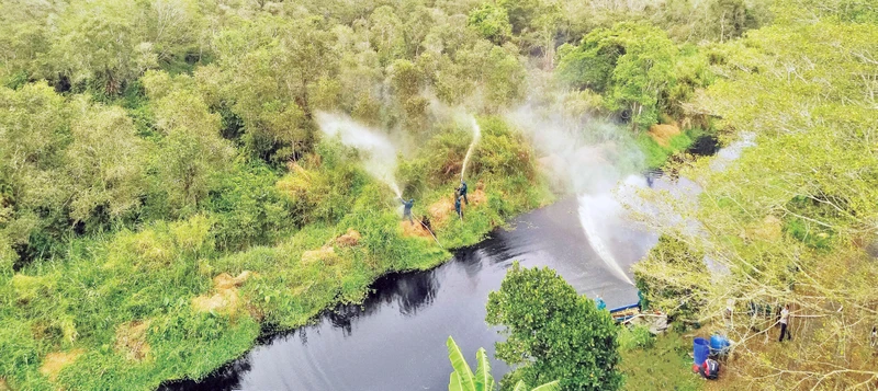  Lực lượng Kiểm lâm Cà Mau diễn tập phòng cháy, chữa cháy rừng tại Vườn Quốc gia U Minh Hạ.