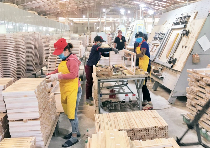 Sản xuất gỗ tại Công ty Kỹ nghệ gỗ Tiến Đạt (phường Bùi Thị Xuân, thành phố Quy Nhơn, tỉnh Bình Định).
