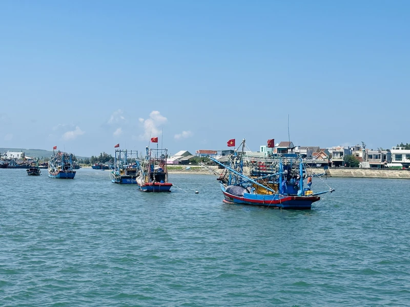 Tàu thuyền ngư dân vùng biển xã Bình Châu, huyện Bình Sơn, tỉnh Quảng Ngãi xuất hành đánh bắt khơi xa. 