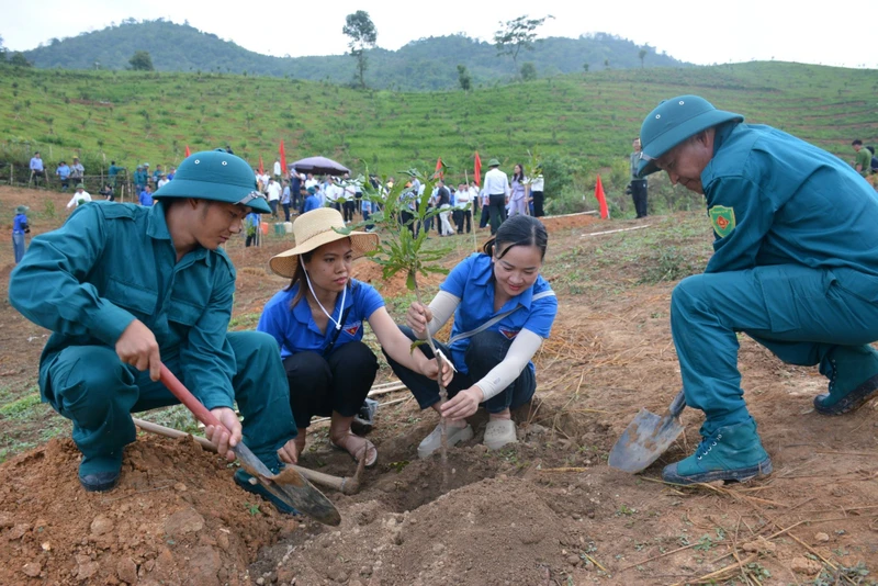 Đoàn viên, thanh niên và dân quân tự vệ xã Quài Nưa, huyện Tuần Giáo (Điện Biên) là lực lượng xung kích trong các đợt ra quân đào hố trồng, chăm sóc cây mắc-ca tại địa bàn. 