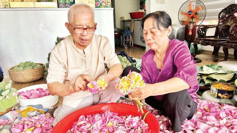 Ông Ngô Văn Xiêm cùng vợ là bà Lưu Thị Hiền tách cánh hoa để thu hoạch gạo sen ướp trà. 