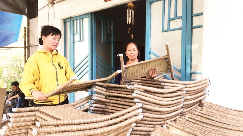 Tổ hợp tác đan lát xã Xuân Thắng, huyện Thới Lai được hỗ trợ vay vốn chính sách để phát triển sản xuất, tạo việc làm, thu nhập ổn định cho xã viên. 