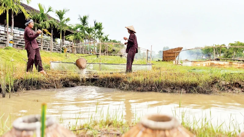 Tát nước bằng gàu sòng. 