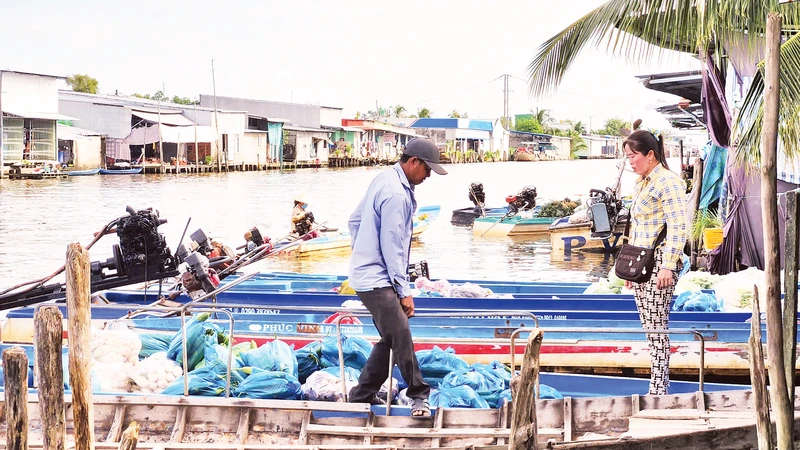 Nông dân chở rau, củ, quả vườn nhà ra bán cho các chủ vựa. 