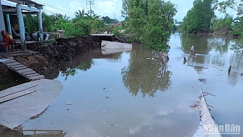 Liên tiếp các vụ sạt lở đất ven sông trên địa bàn huyện Đầm Dơi (Cà Mau) những ngày cuối tháng 5/2023, làm hư hỏng lộ nông thôn. 