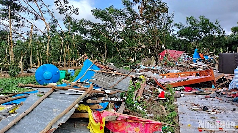 Nhà dân vùng nông thôn huyện U Minh, tỉnh Cà Mau bị sập, đổ do dông lốc.
