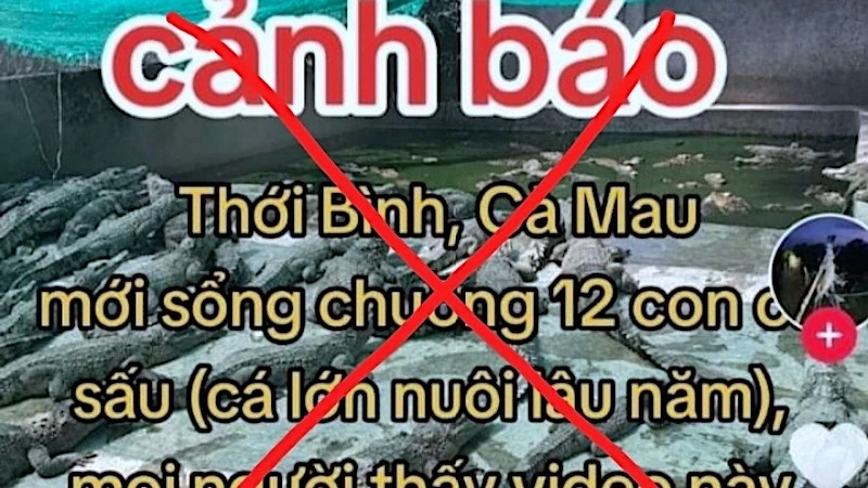 Thông tin cá sấu xổng chuồng lan truyền trên tài khoản facebook T.L được chính quyền huyện Thới Bình khẳng định là thất thiệt, bịa đặt. 