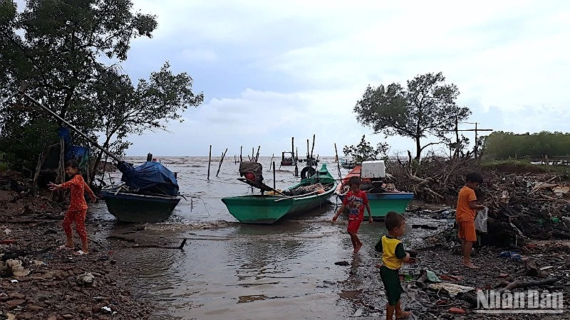 Các khu vực ven biển Cà Mau nguy cơ trẻ bỏ học cao bởi dân cư thưa thớt, điều kiện đi lại khó khăn