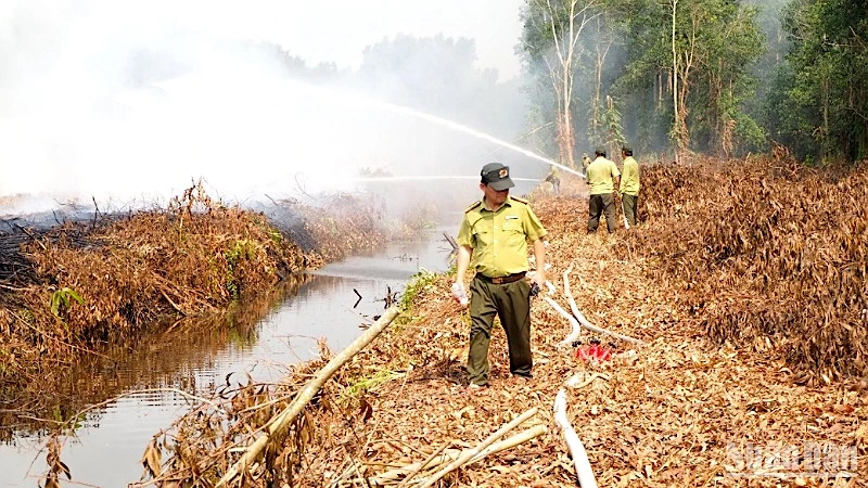 Diễn tập giả định tình huống chữa cháy tại lâm phần rừng tràm thuộc Công ty Lâm nghiệp U Minh hạ.