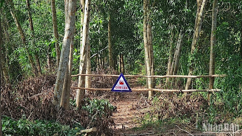 Chủ rừng rào chắn lối vào và gắn biển cấm lửa tại những khu vực cảnh báo cháy cao trên lâm phần rừng ngập ngọt U Minh Hạ. 