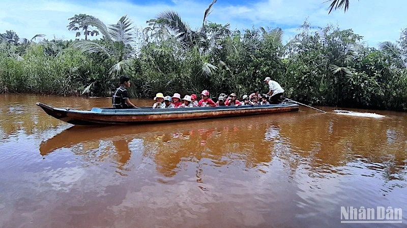 Học sinh miệt rừng huyện U Minh (tỉnh Cà Mau) nô nức đến trường vào dịp khai giảng năm học mới.