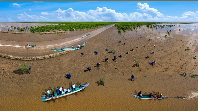 Bãi Bồi ven biển Mũi Cà Mau, một trong những điểm đến lý tưởng, hấp dẫn khách thập phương. (Ảnh: CTV)