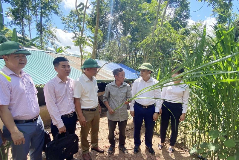 Lãnh đạo Huyện ủy Mường Nhé thăm mô hình trồng cỏ voi trên đất bạc màu tại xã Huổi Lếch. (Ảnh: LÊ LAN) 