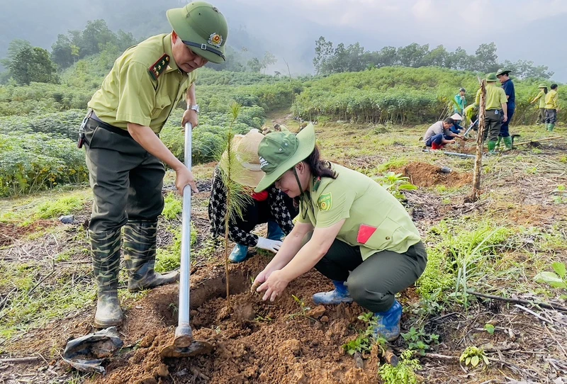 Kiểm lâm huyện Trấn Yên tham gia trồng cây.(Ảnh: THANH SƠN)