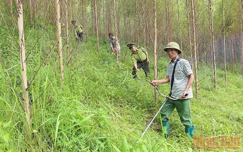 Lực lượng Kiểm lâm phối hợp với chủ rừng đi tuần tra, bảo vệ rừng tại xã Đồng Vương, huyện Yên Thế.