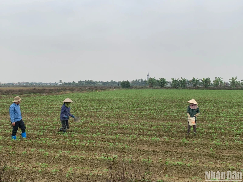 Chương trình mục tiêu quốc gia về xây dựng nông thôn mới mang lại những kết quả to lớn, toàn diện.