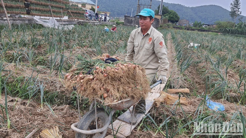 Mục tiêu của xây dựng nông thôn mới năm 2023 là cả nước có khoảng 78% xã đạt chuẩn nông thôn mới, trong đó có khoảng 25% số xã đạt chuẩn nâng cao và kiểu mẫu.