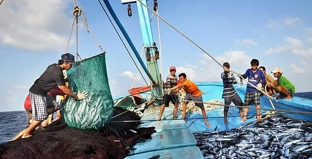 Hiệp hội Chế biến và Xuất khẩu thủy sản Việt Nam (VASEP) vừa ký văn bản gửi Bộ Nông nghiệp và Phát triển nông thôn kiến nghị một số quy định bất cập trong Nghị định 37/2024/NĐ-CP.
