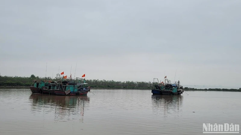 Thủ tướng Phạm Minh Chính vừa ký công điện yêu cầu tập trung phát hiện, điều tra và xác minh thông tin để xử lý vi phạm quy định về Hệ thống giám sát hành trình tàu cá (VMS). (Ảnh: PHÚC HUY)