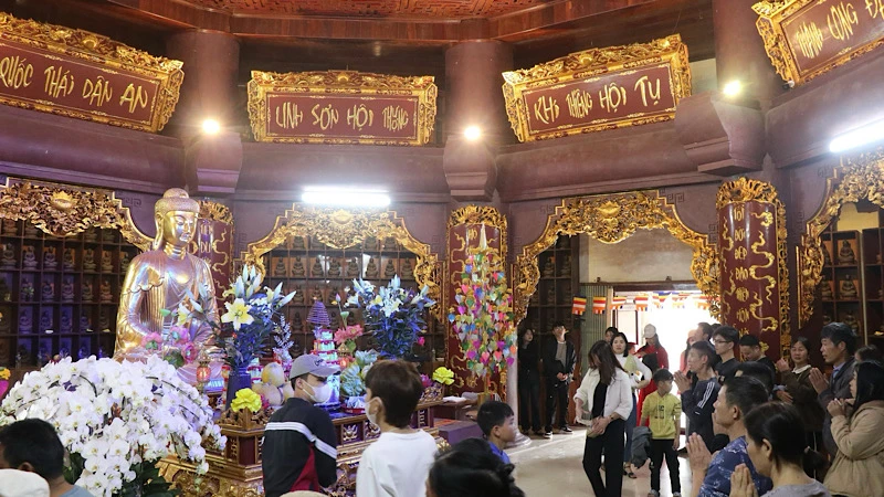 Lễ hội Khán hoa mẫu đơn chùa Phật Tích thu hút đông đảo người dân, Phật tử và du khách tham dự.