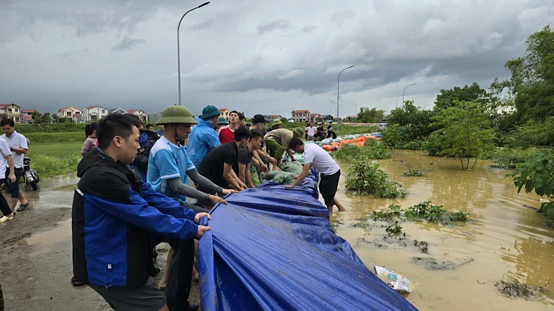 Người dân và các lực lượng chức năng chung tay gia cố đê bối Đầu Hàn, khu vực phường Hòa Long, thành phố Bắc Ninh, khi nước sông Cầu dâng cao.