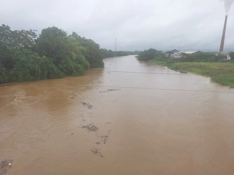 Do mưa lớn nhiều ngày, nước sông Bứa tại huyện Thanh Sơn dâng cao đe dọa đến tính mạng và tài sản của người dân.