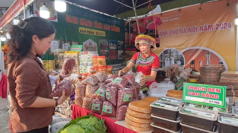 Chương trình Tuần hàng Việt thành phố Hà Nội còn hỗ trợ nhiều doanh nghiệp, cơ sở sản xuất của các tỉnh, thành phố khác.