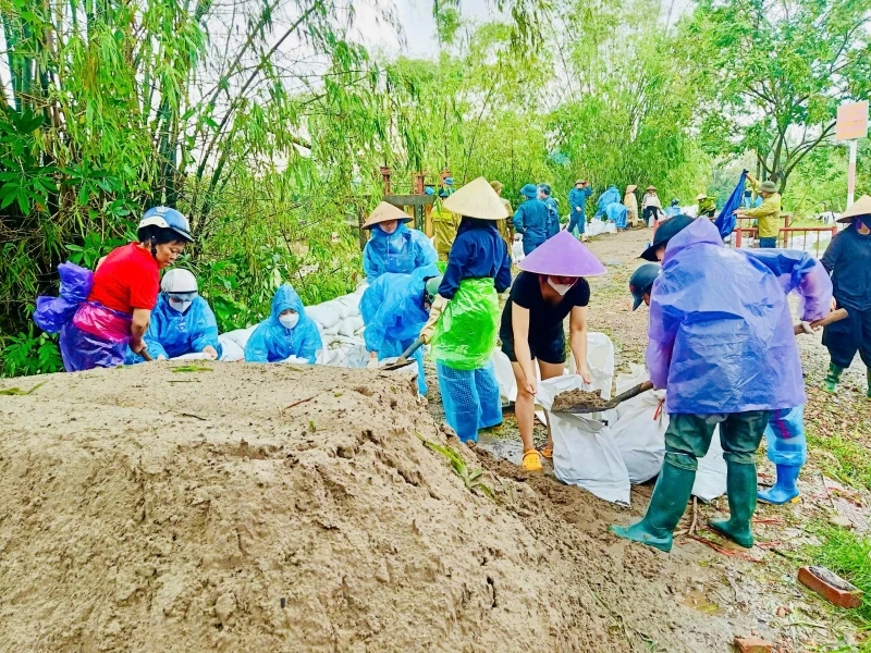 Lực lượng chức năng và nhân dân xã Đại Áng, huyện Thanh Trì (Hà Nội) khẩn trương thực hiện các giải pháp gia cố, chống sạt đê tả sông Nhuệ, gần trạm bơm tiêu Hòa Bình.