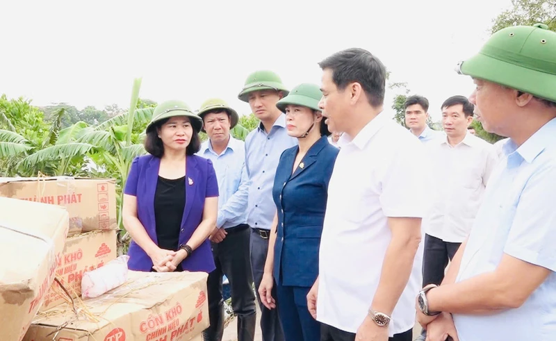 Phó Bí thư Thường trực Thành ủy Hà Nội Nguyễn Thị Tuyến kiểm tra công tác phòng chống lụt, bão tại xã An Phú, huyện Mỹ Đức.