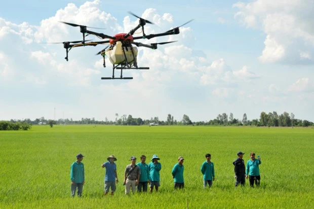 Khảo nghiệm trên đồng ruộng thuốc bảo vệ thực vật phòng, chống sinh vật gây hại cây trồng bằng thiết bị bay không người lái (UAV).