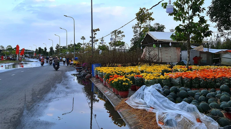 Nước mưa còn ứ đọng nước quanh chợ hoa kiểng thành phố Cà Mau vào chiều 17/1.
