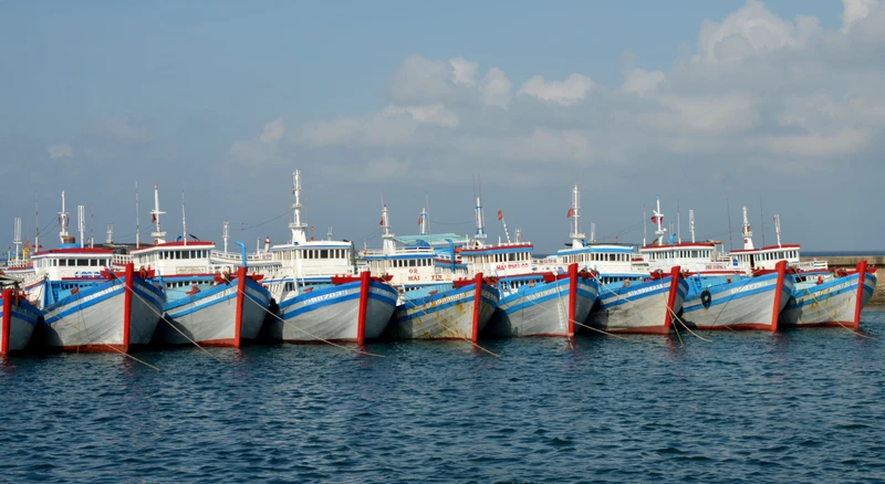 Tàu cá đánh bắt xa bờ neo đậu tại Cảng Phú Quý (Bình Thuận).