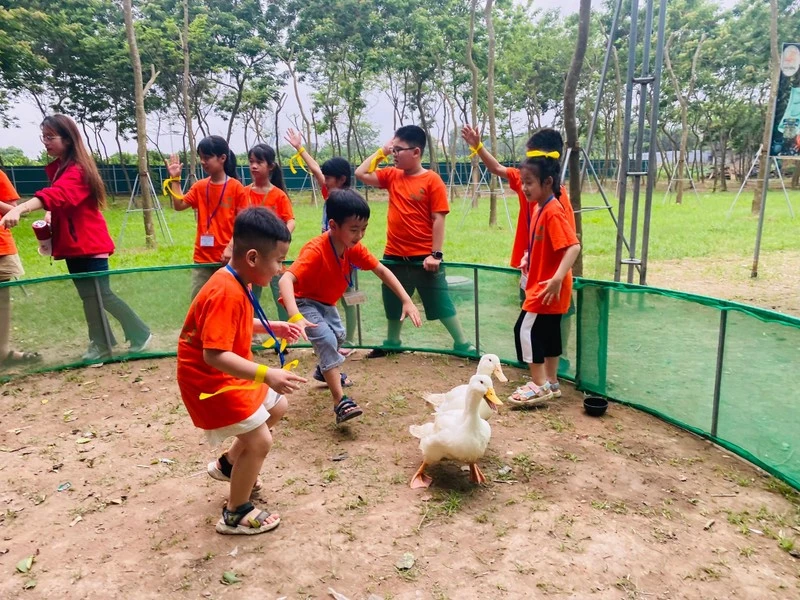 Các em nhỏ tham gia hoạt động trải nghiệm tại Phù Đổng Green Park (huyện Gia Lâm).