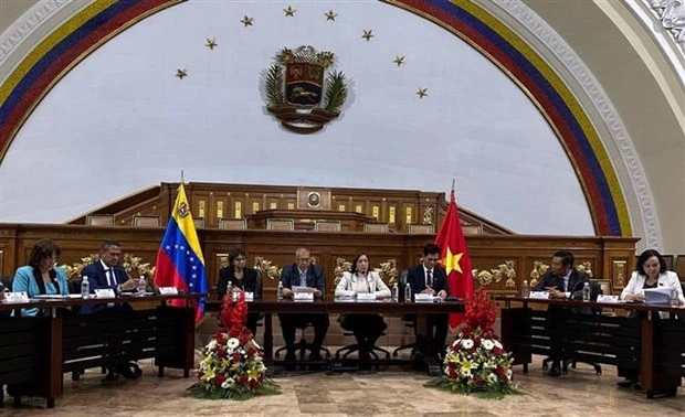 Quang cảnh buổi làm việc với Bộ Các Dân tộc Bản địa Venezuela. (Ảnh: TTXVN phát)
